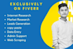 do data entry, internet research, market research