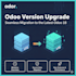 professionally handle your odoo database and module upgrade