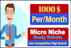 setup complete micro niche website