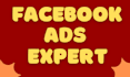 be your facebook, tiktok, youtube and instagram meta ads campaigns