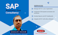 be your sap business one consultant