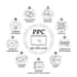setup, manage and optimize amazon PPC campaign
