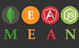 do mean stack development