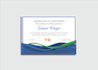design attractive greeting or invitation cards