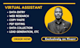 be your virtual assistant for data entry and web research