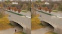 remove the object from your videos and pictures