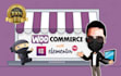 create a professional woocommerce shopping website