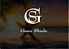 do impressive stylish logo design