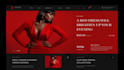 create wordpress or shopify online store for your business
