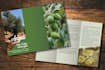 design your business events