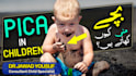 design youtube urdu thumbnails banners and social media post
