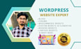 create a professional or responsive wordpress website