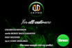 do stunning animated logo intro videos in 24 hours