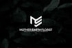 design a professional and modern minimalist logo for you
