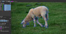 do industry level rotoscoping and chroma key