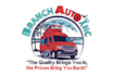 embroidery digitizing, convert to pes, dst in 1hr