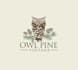 design awesome owl pine logo