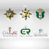 speedy logo delivery of high quality designs within a day