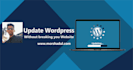 redesign, edit or update any wordpress website quickly