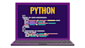 handle all your python programming projects