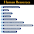 provide human resources service in all areas of HR