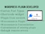 develop or customize wordpress plugin