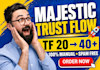 increase your website trust flow tf 20 to 40 with high tf backlinks