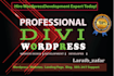 design a responsive divi wordpress website