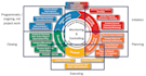 write disaster recovery and business continuity plans