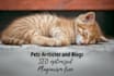 write cat, dog and all pets articles and blog