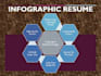 design an attractive infographic resume for you