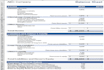 prepare financial forecasts and financial statements