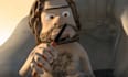add logo and slogan in caveman fire video ad