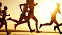 create specific workout programs and provide assist on injury management/recovery guidelines