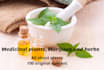 write SEO blog on medicinal plants, herbal medicines, herbs, and spices