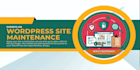 wordpress site expert maintenance