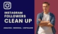 remove instagram ghost, bot followers and clean up account