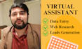 be your virtual assistant for data entry and web research