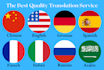 provide professional translation service