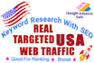 drive keyword targeted organic usa traffic to your website