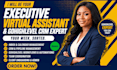 be your executive virtual assistant for admin support and gohighlevel crm