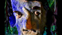 forge epic stopmotion music video