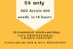 do seo optimized article and content writing in 18 hours