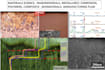 provide a solution to  materials science and chemical engineering