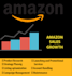 setup, manage and optimise amazon PPC campaigns