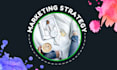 create digital marketing strategy for your brand