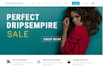 develop dropshipping or ecommerce wordpress website