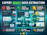 write complex regex for data extraction and text parsing