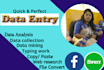 do data entry, web research, and advanced excel work perfectly
