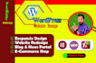 design professional responsive wordpress website for you